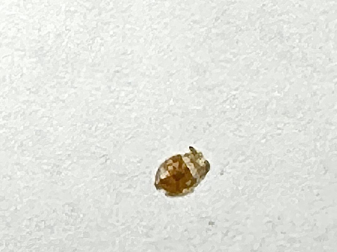 新斯坦顿速8酒店主图