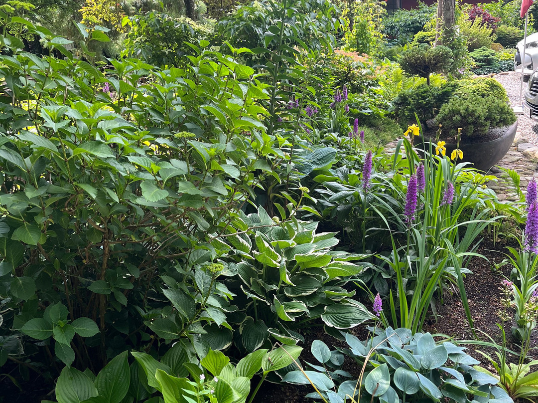 Enemaerkets Hostahave-灵克宾必去景点