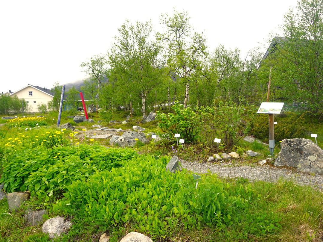 Kilpisjärven Kasvipolku-Kilpisjarvi必去景点