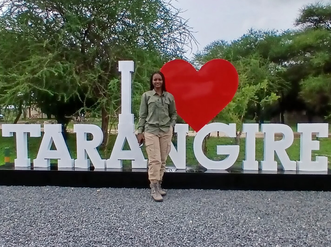 Tarangire National Park-塔兰吉雷国家公园必去景点