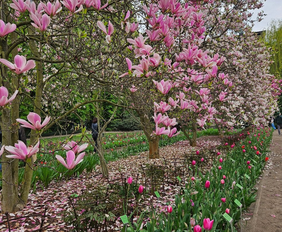 Botanical Garden of the University of Wrocław-弗罗茨瓦夫必去景点