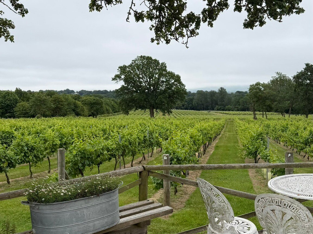 Nutbourne Vineyards-Nutbourne必去景点