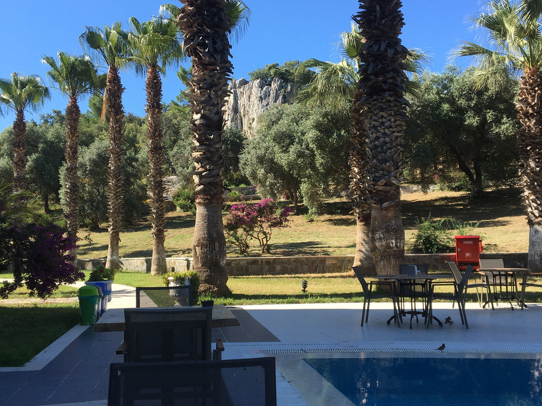 X Life Hotel Sarıgerme 15 - Adult Hotel主图