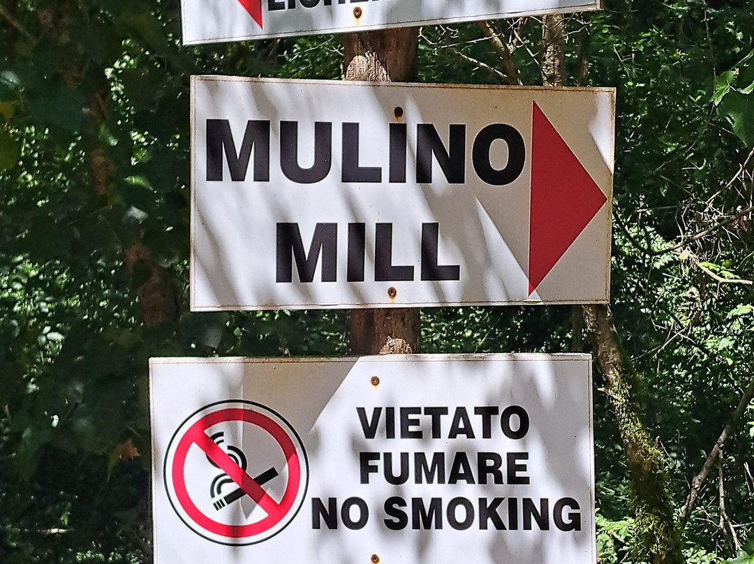 Oasi WWF Grotte del Bussento-Morigerati必去景点