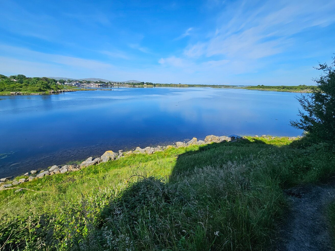 Dunguaire Castle's-戈尔韦必去景点