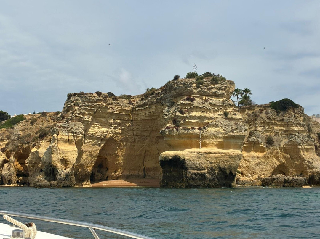Aurora Boat Trips-阿玛考德佩拉必去景点