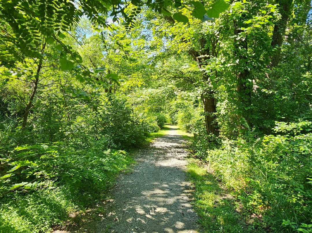 Robert Copenhaver Park-Joppa必去景点