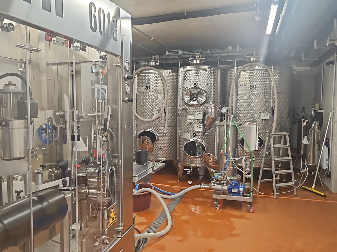 VIAJUR Winery-Svaty Jur必去景点