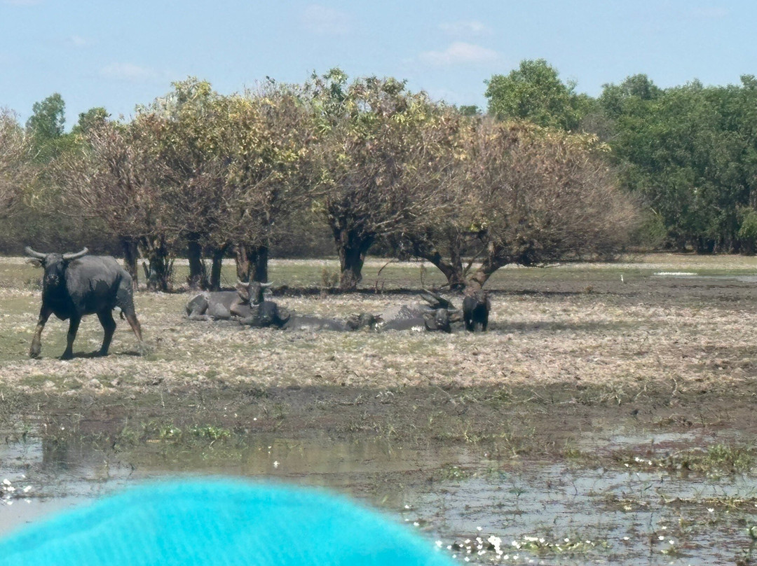 Wildlands Wetlands Safari Cruises-达尔文市必去景点