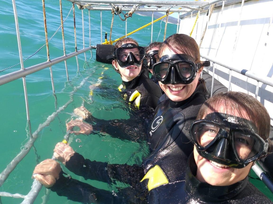 Sharklady Adventures-干斯拜必去景点