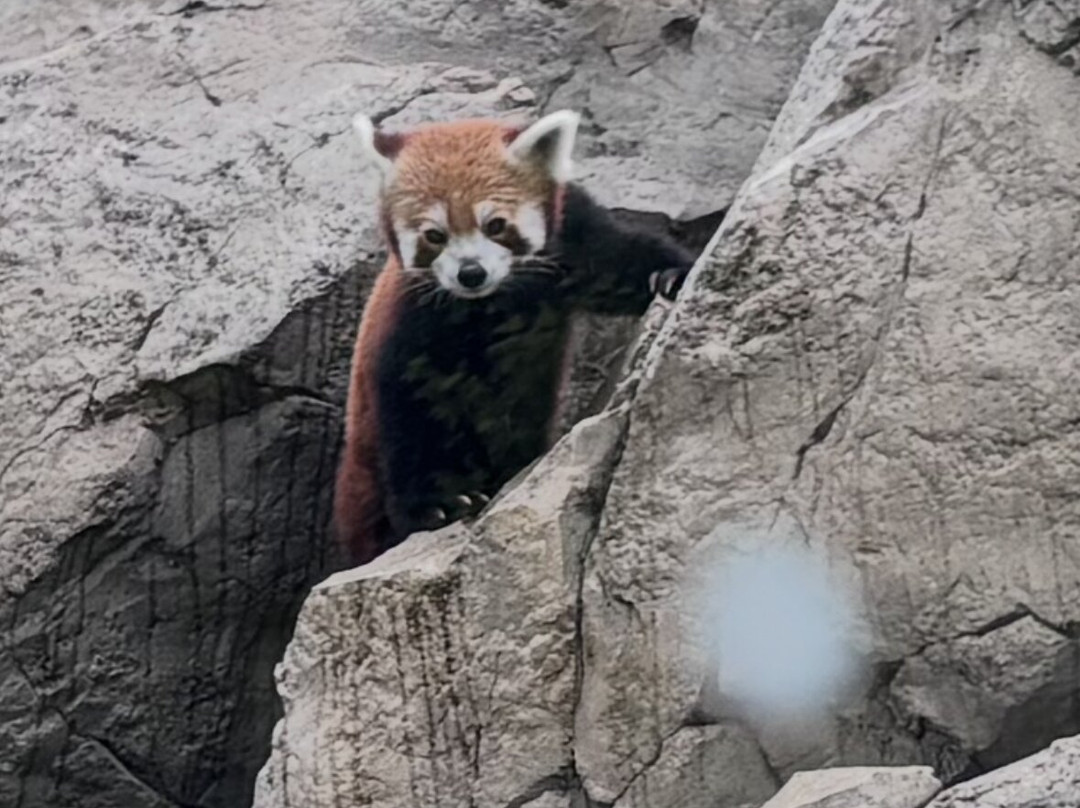 Lehigh Valley Zoo-Schnecksville必去景点