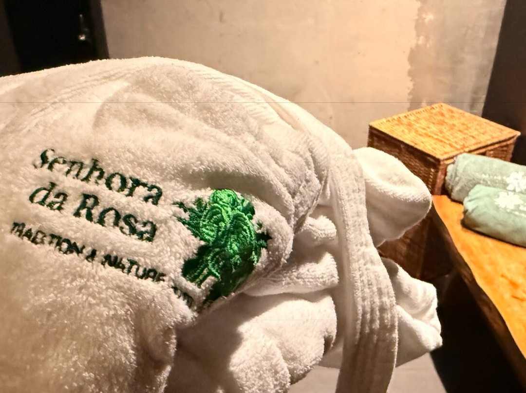 玫瑰女士传统自然酒店主图