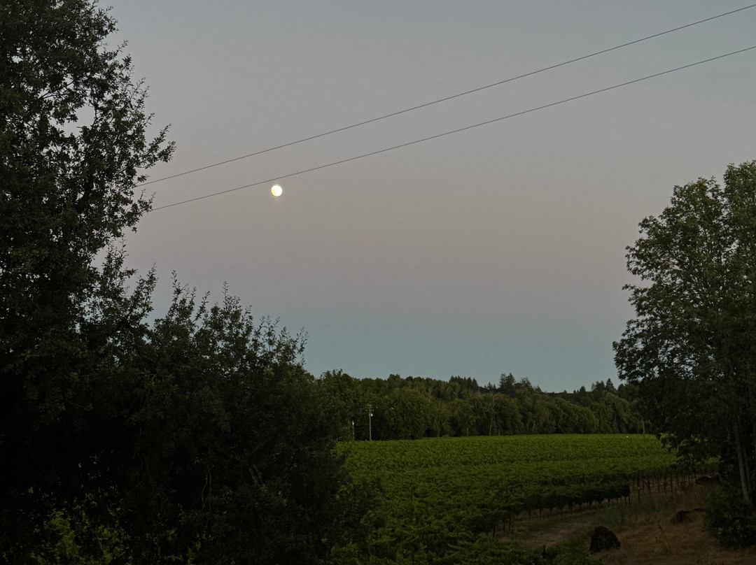 Gracianna Winery-希尔兹堡必去景点