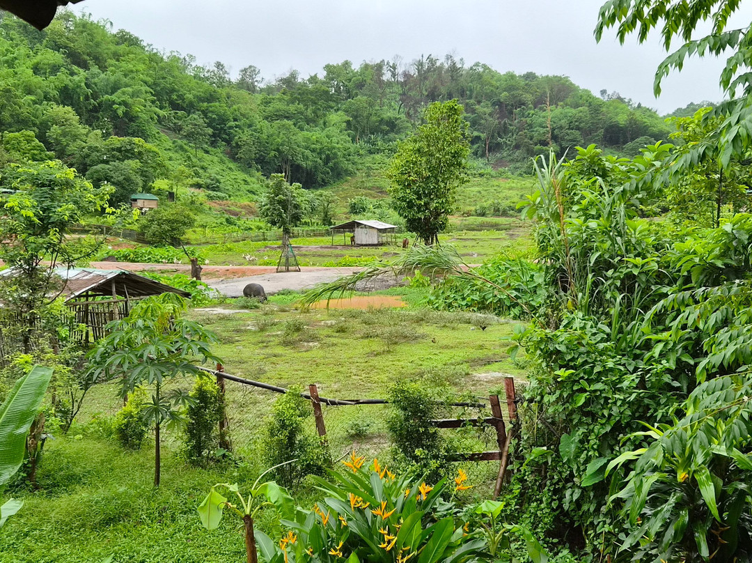 Elephant Steps Chiang Rai-清莱必去景点