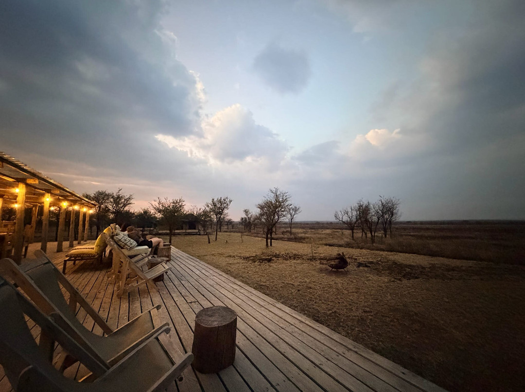Serengeti Queens Camp-Seronera必去景点