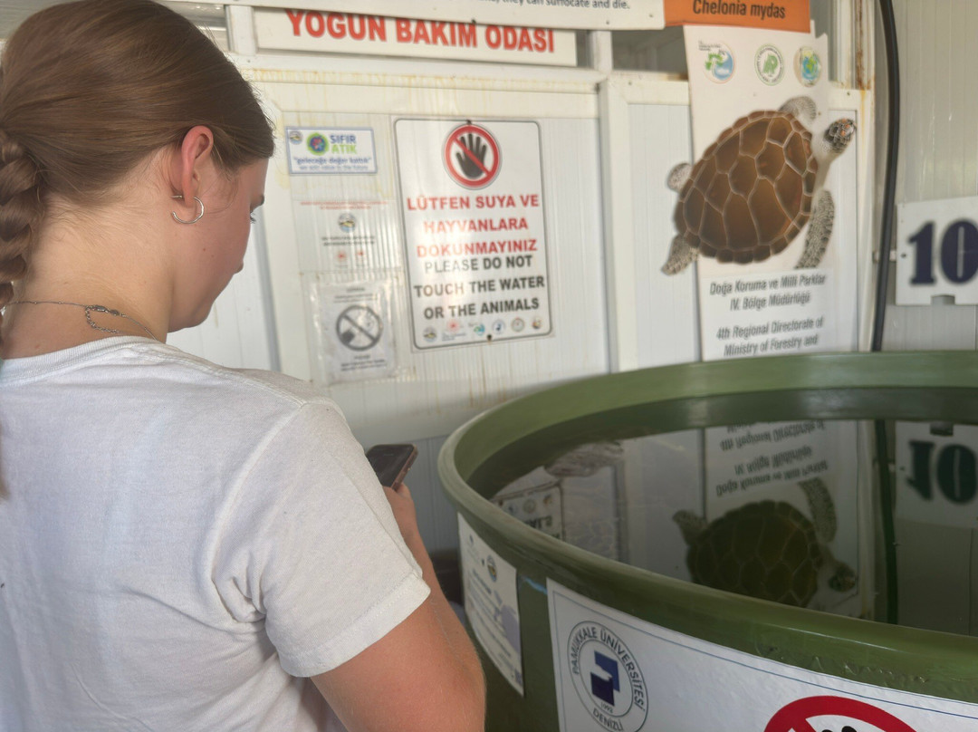 The Kaptan June Sea Turtle Conservation Foundation-达利安必去景点