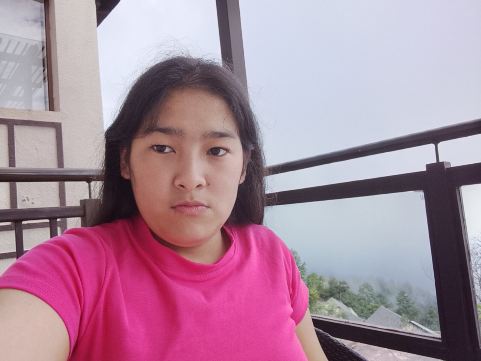 杜利凯尔都喜天丽喜马拉雅度假村-旅行者