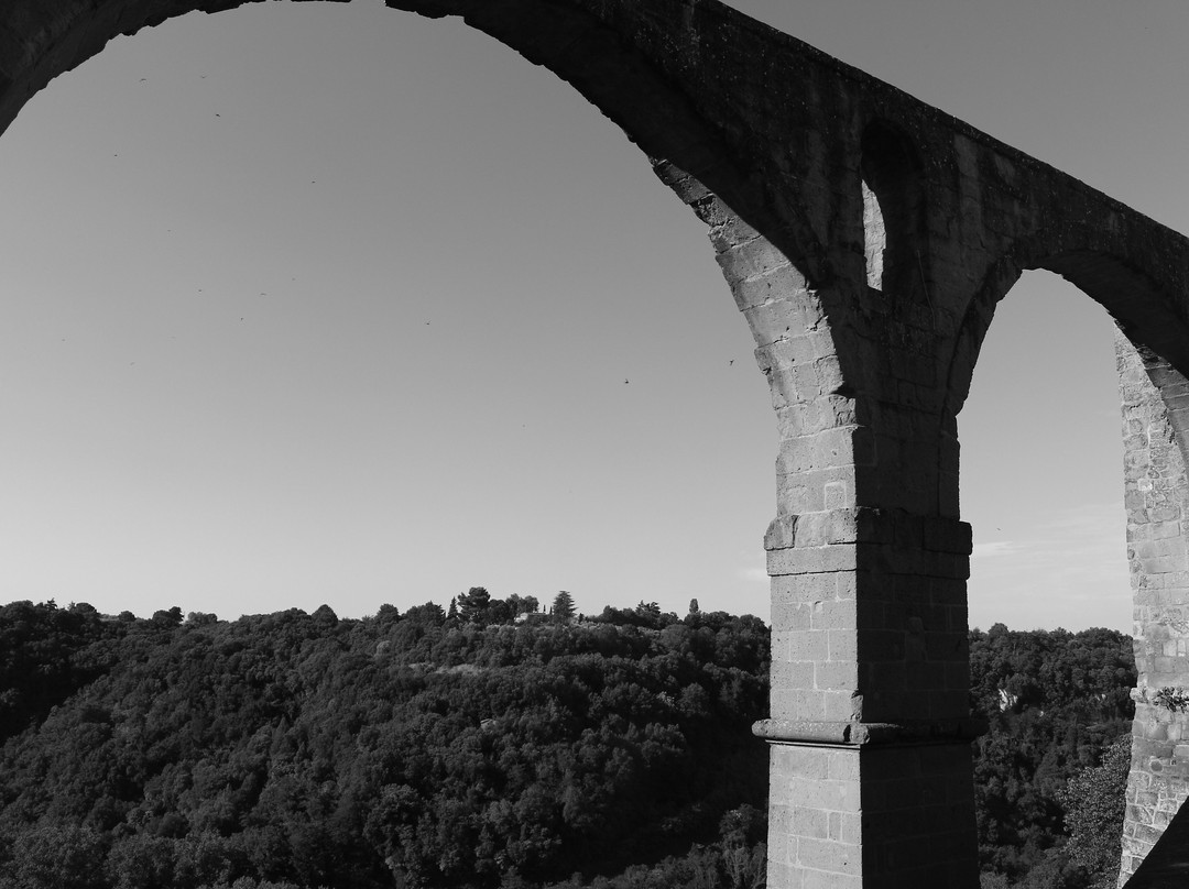 Acquedotto Mediceo di Pitigliano-皮蒂利亚诺必去景点