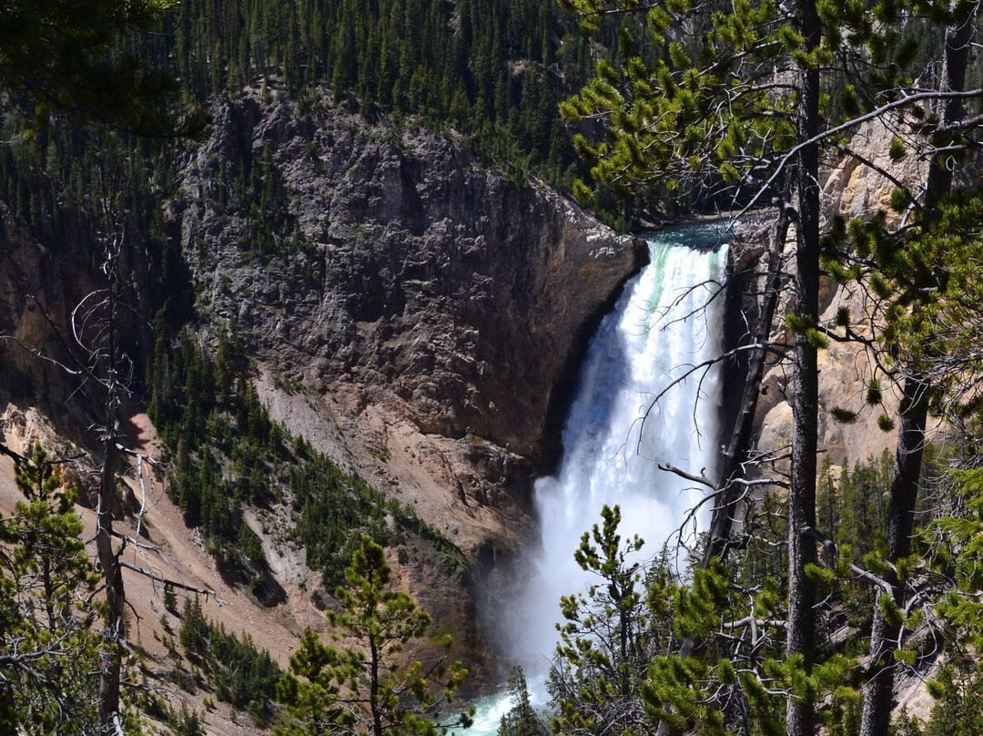 Yellowstone National Park-黄石国家公园必去景点