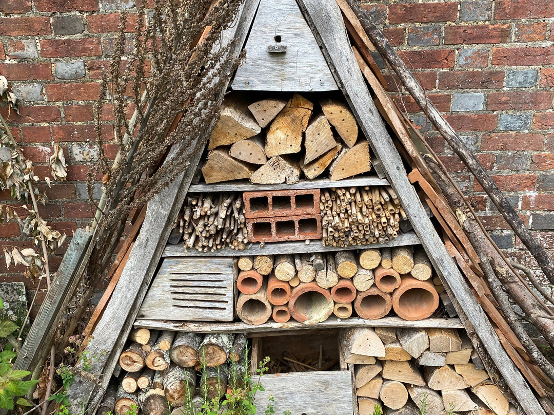 Knepp Rewilded Walled Garden-West Grinstead必去景点