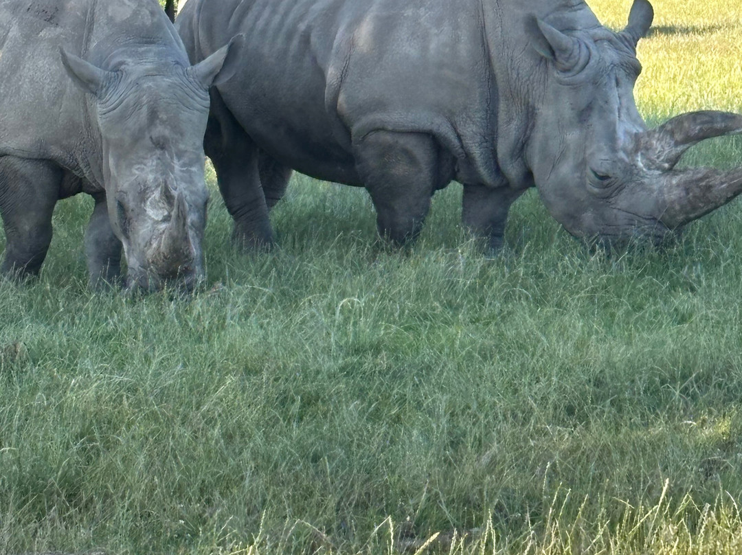 Knuthenborg Safaripark-马里博必去景点