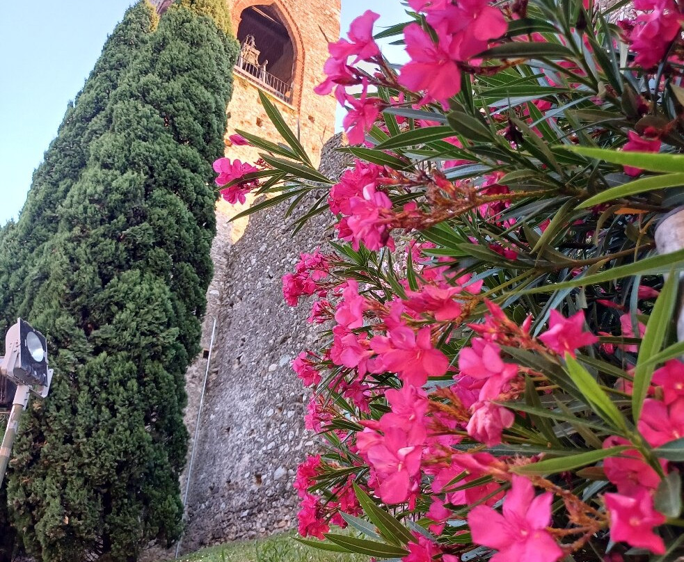 Castello di Moniga del Garda-Moniga del Garda必去景点