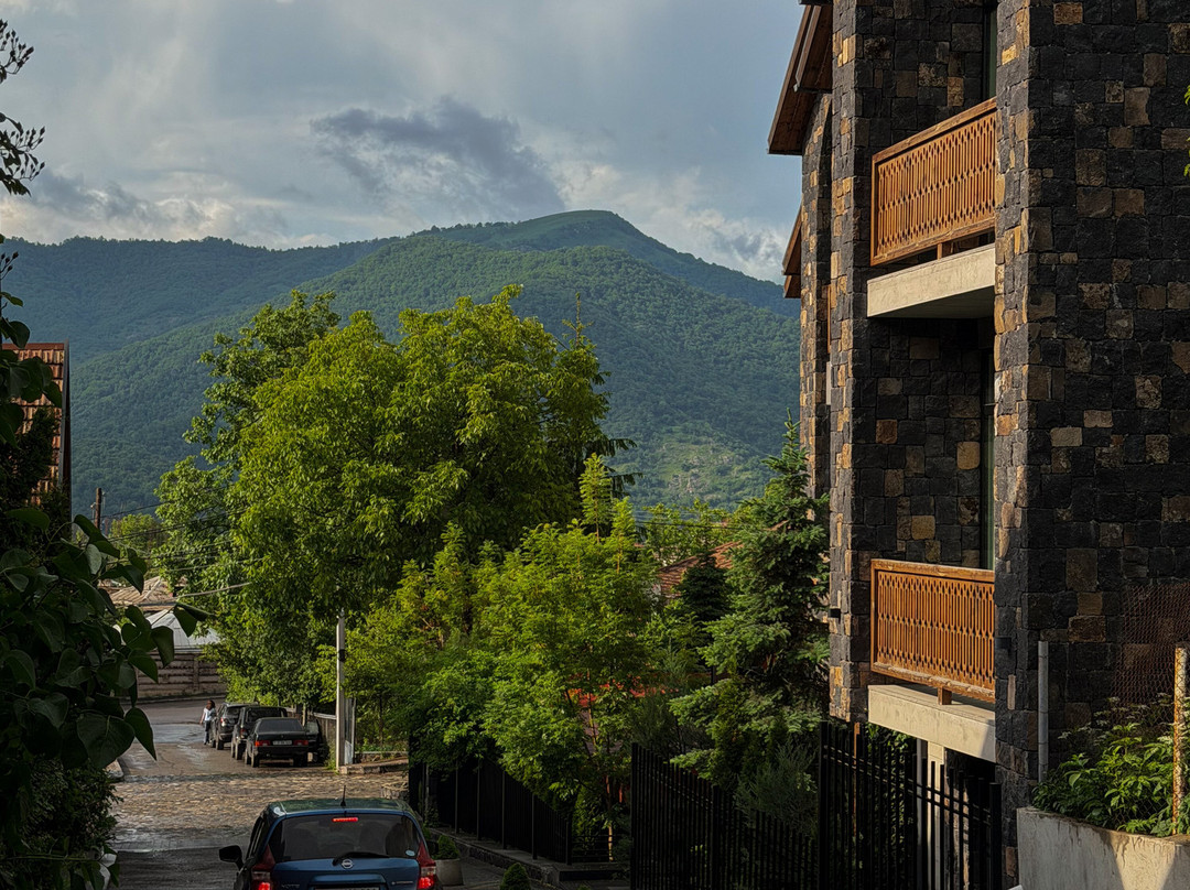 Dilijani Tun Hotel & Restaurant主图
