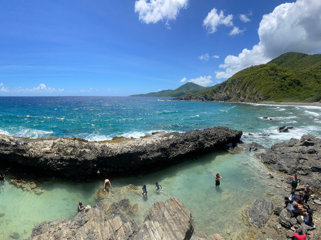 BushTribe Eco Adventures-Christiansted必去景点