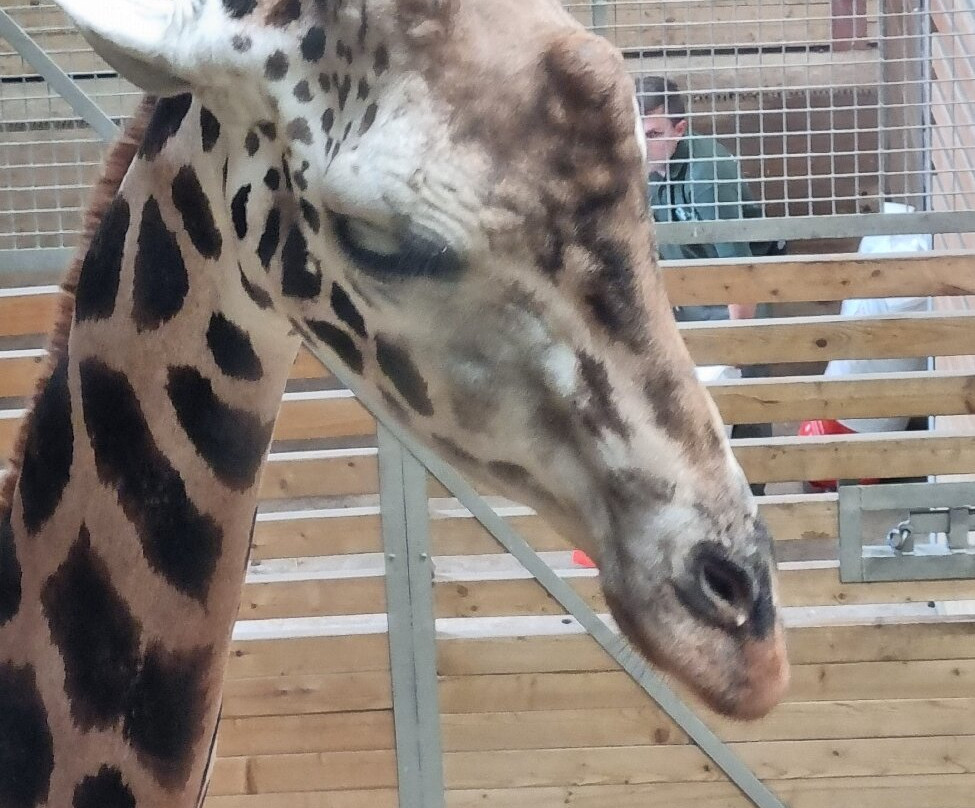 Wingham Wildlife Park-Wingham必去景点