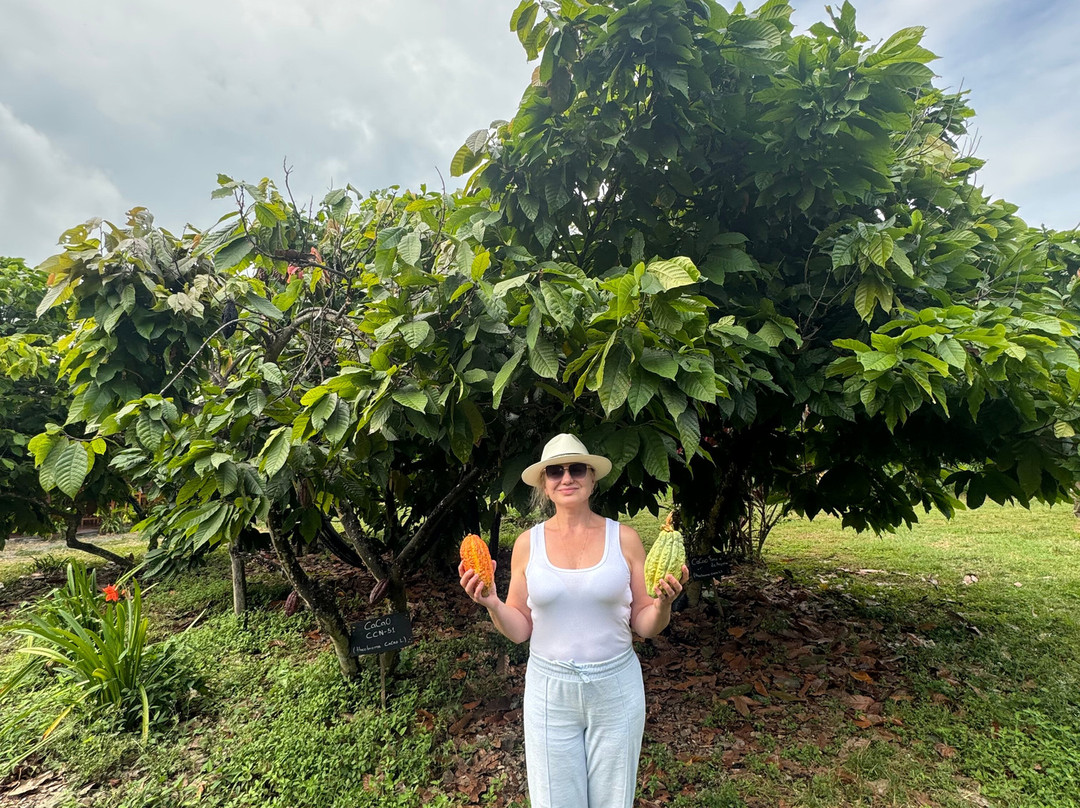 Hacienda Cacao y Mango-Naranjal必去景点