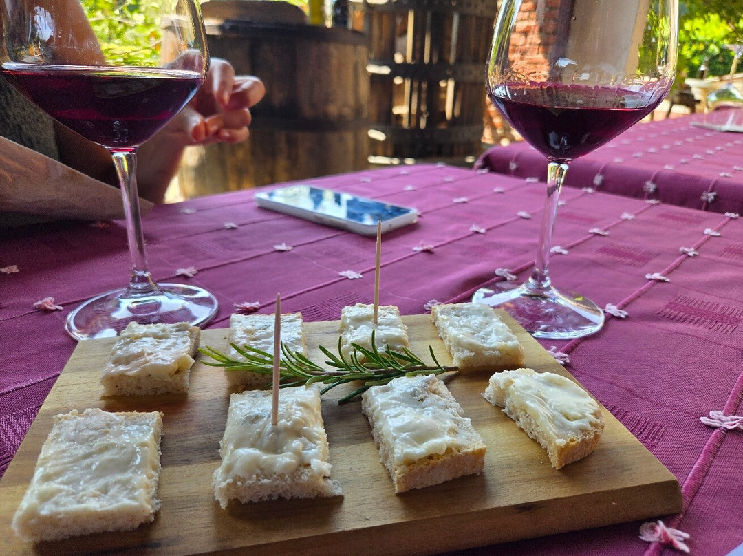 Cantina Fontechiara-Borgomanero必去景点