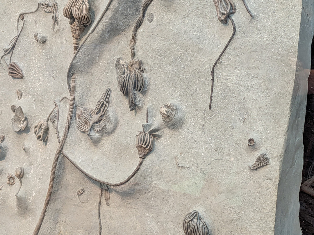 Indiana State Museum-印第安纳波利斯必去景点