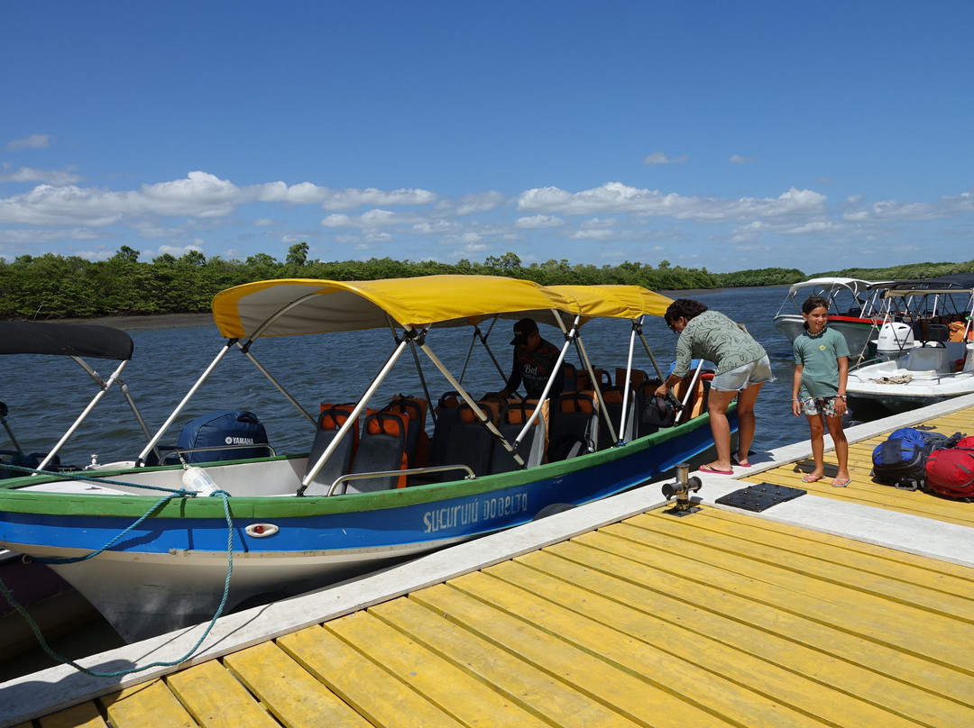 Delta Rio Parnaiba Turismo-Parnaiba必去景点