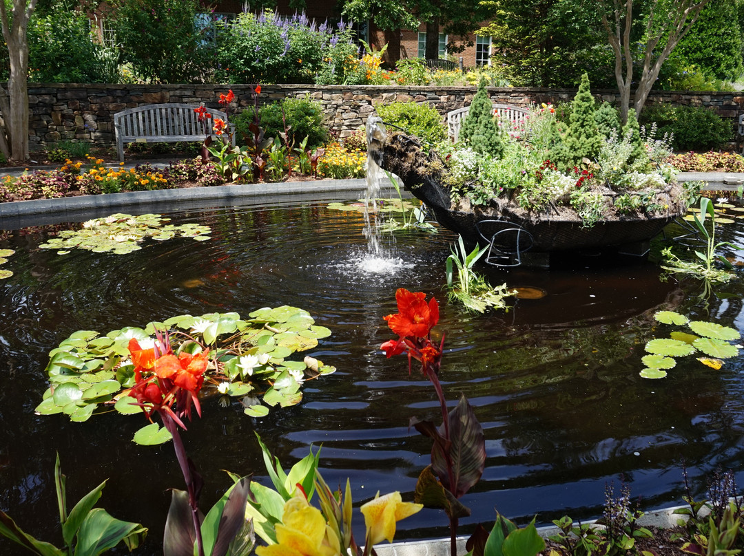 Lewis Ginter Botanical Garden-里士满必去景点