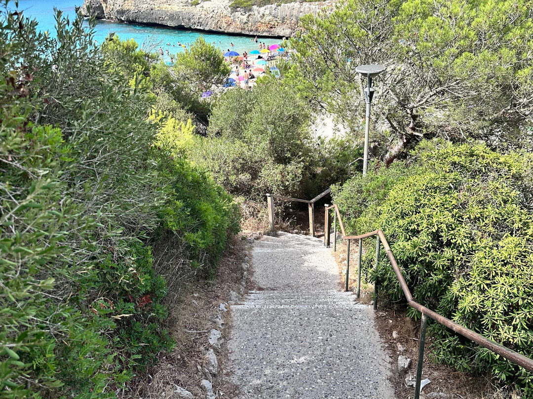 Cala Anguila-马纳科尔必去景点