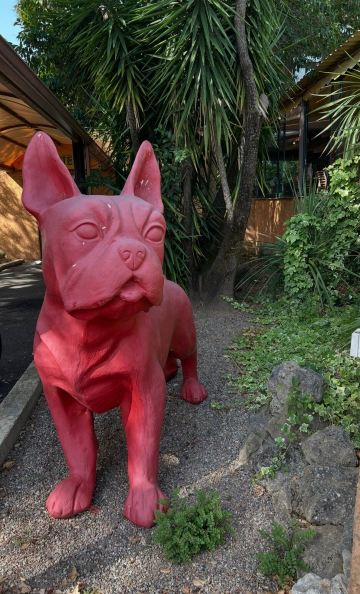 勒巴纳纳酒店-旅行者