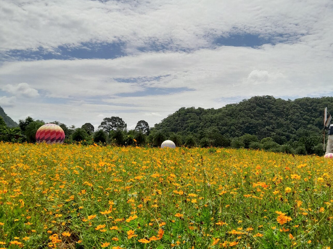 Hokkaido Flower Park-呵叻必去景点
