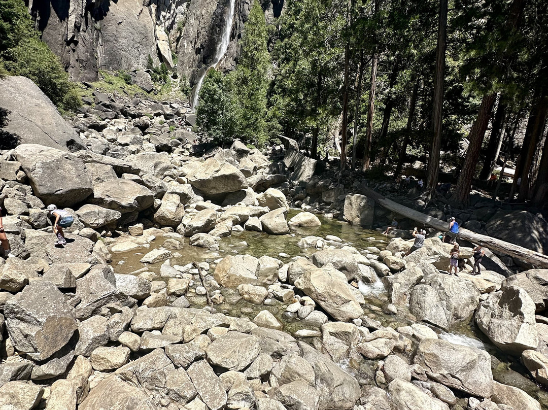 Lower Yosemite Fall Trail-优胜美地国家公园必去景点