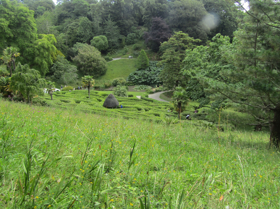 Glendurgan Garden-法尔茅斯必去景点
