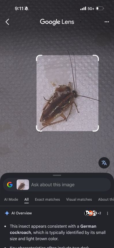 阿什利套房式旅馆-旅行者