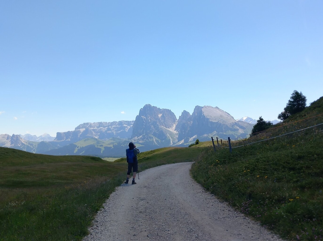 Bullaccia-Alpe di Siusi必去景点