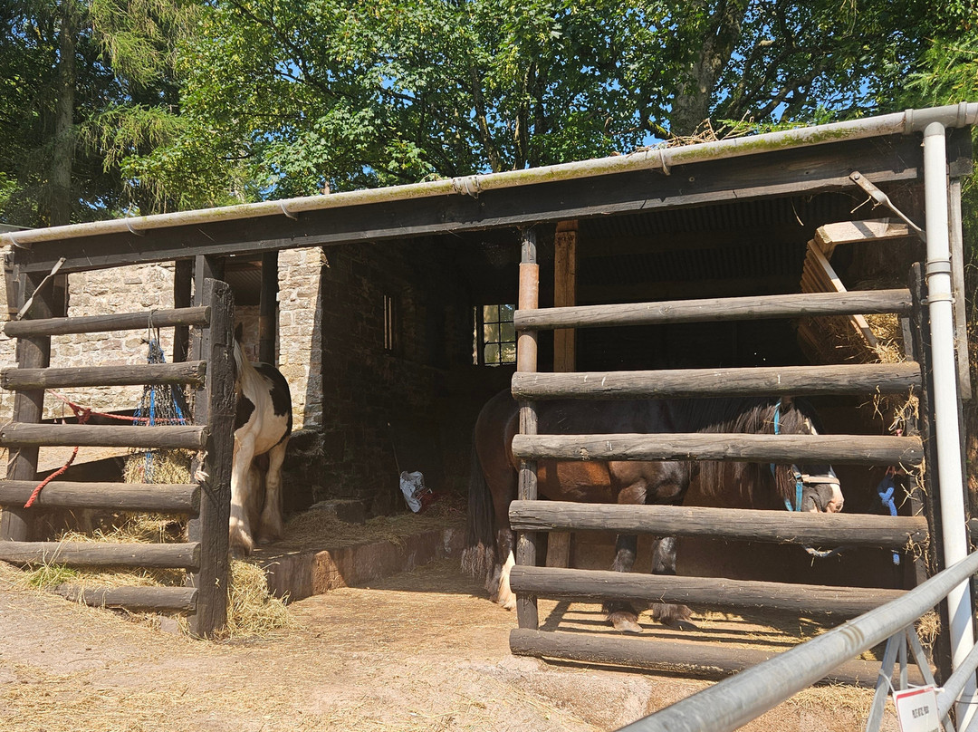 Grange Trekking Centre Guest House主图