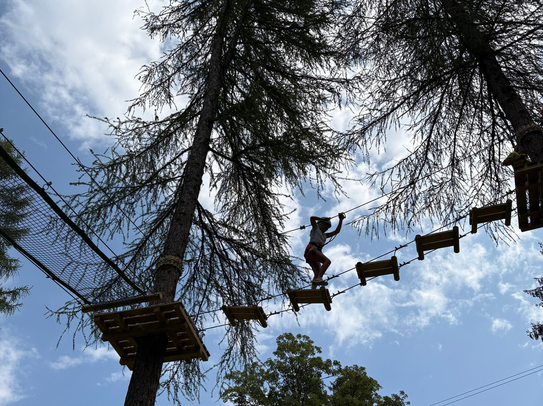 Jungle Raider Park Resinelli-Margno必去景点