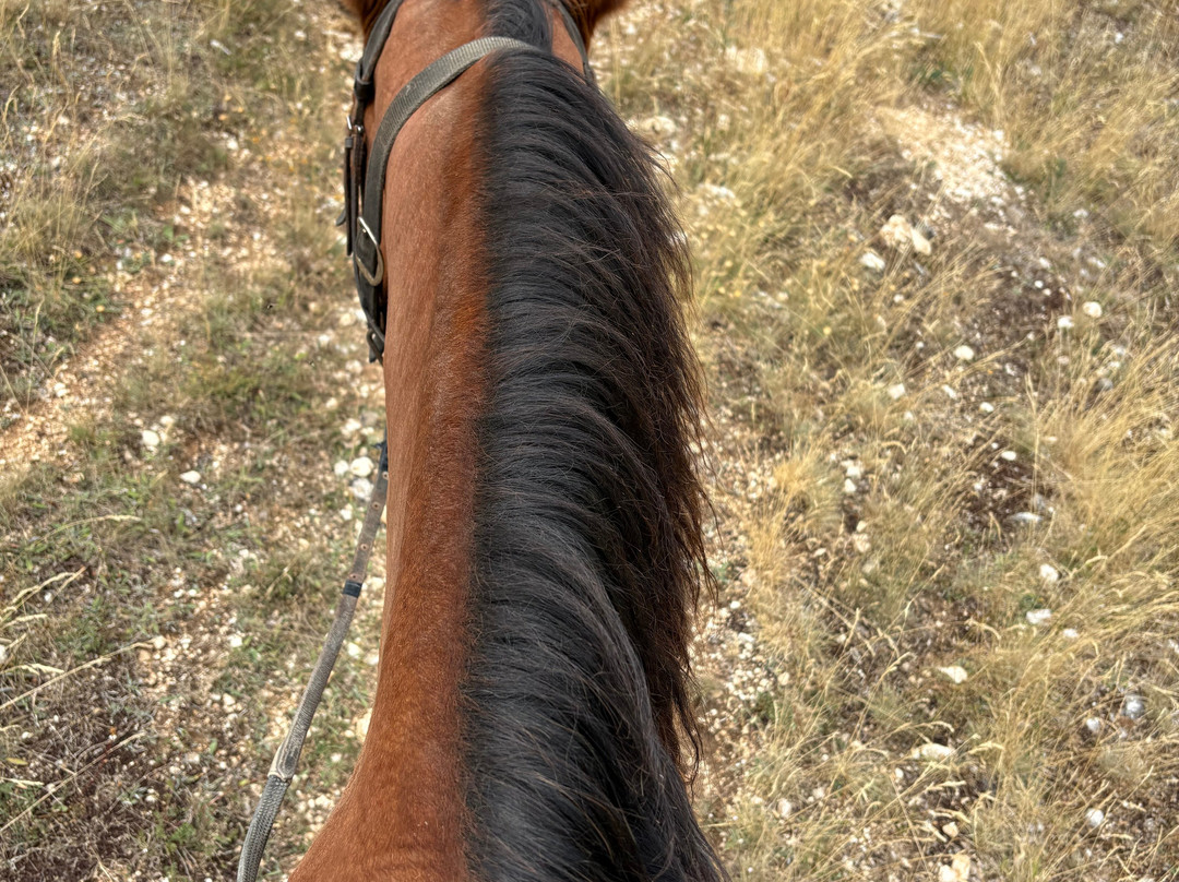 Il Ranch - Maneggio-Scanno必去景点
