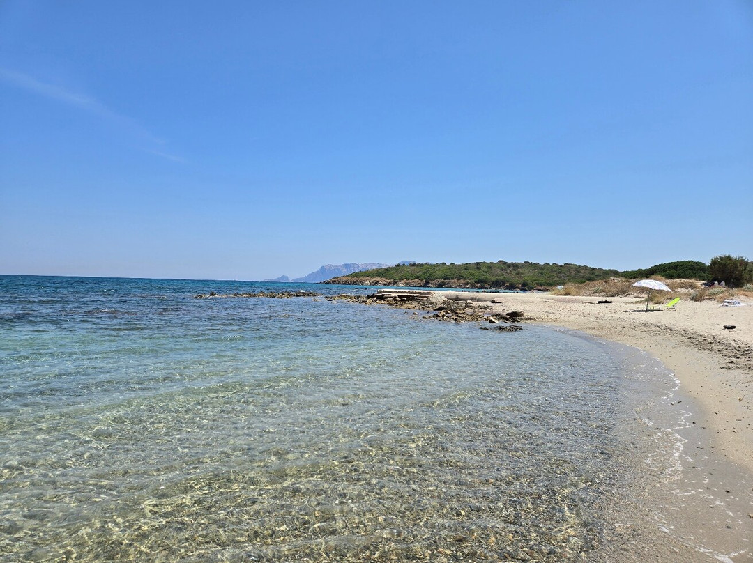 Spiaggia Pittulongu - La Playa-奥尔比亚必去景点