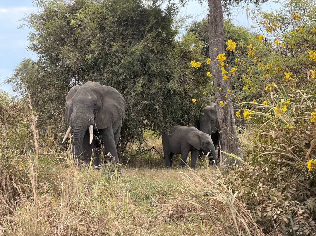 NICE ADVENTURE SAFARI-Dar es Salaam必去景点