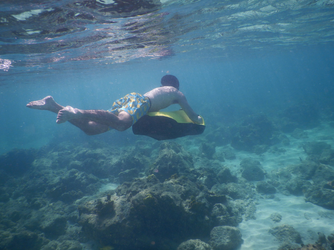 Seabob Aruba-Noord必去景点