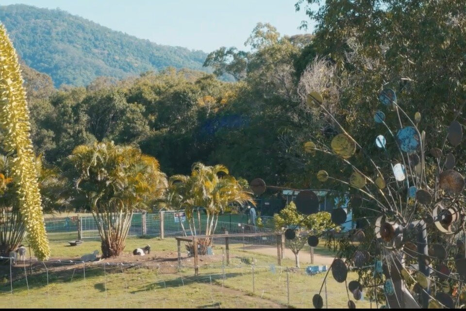 City Chicks Farm & Cafe-Samford必去景点