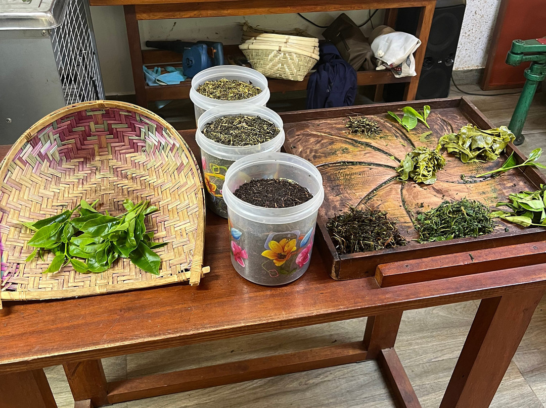 Ella Organic Tea Garden-Heeloya必去景点