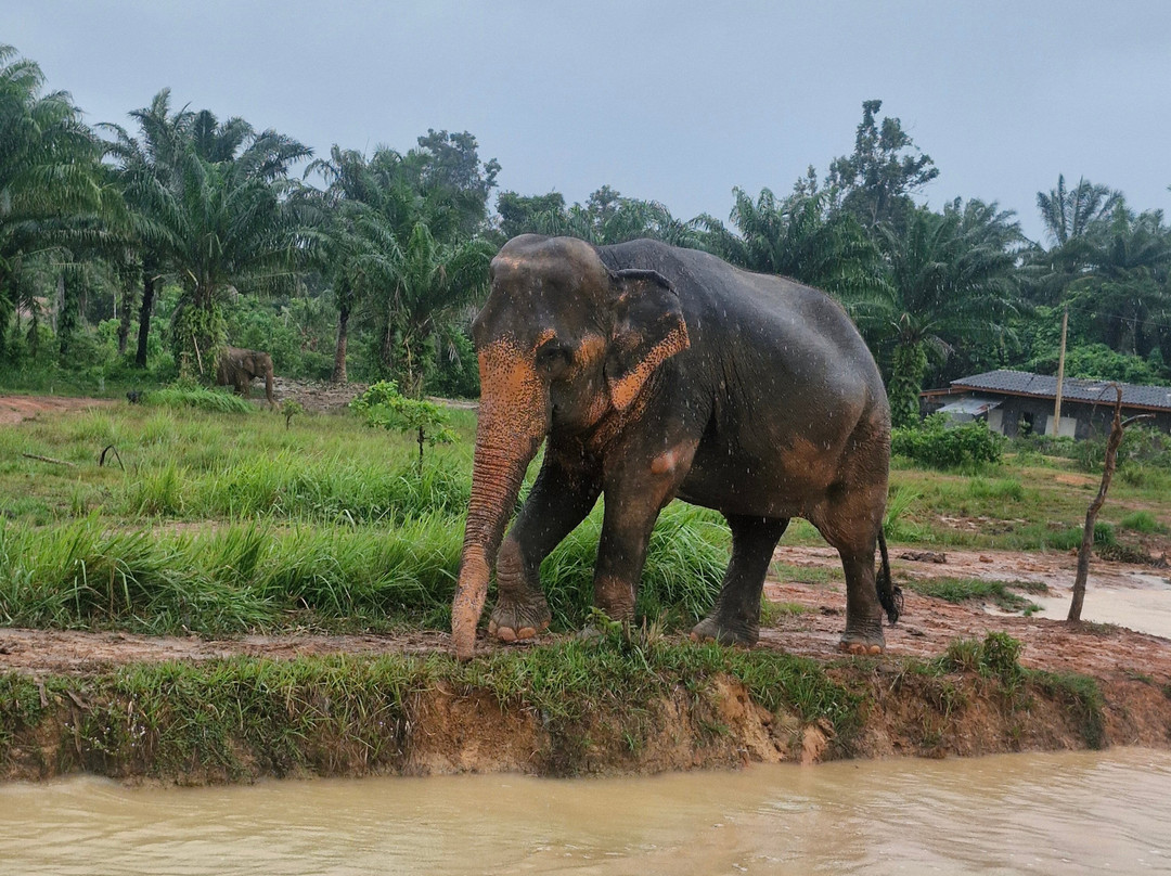 Following Giants - Krabi-Khlong Hin必去景点